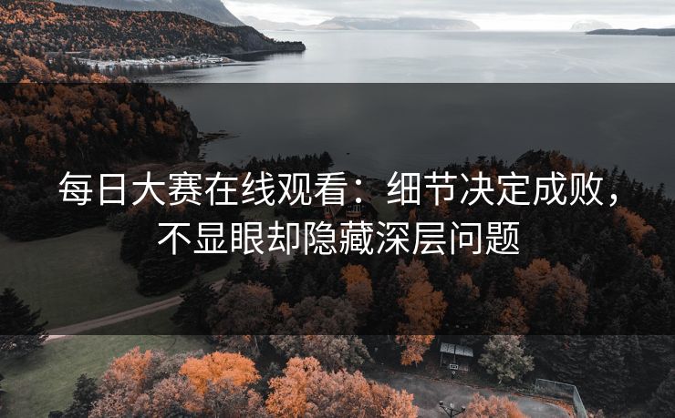 每日大赛在线观看：细节决定成败，不显眼却隐藏深层问题